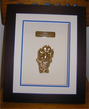 08" x 10" Pet Paw Shadowbox Frame & Casting Kit 08" x 10" Pet Paw Shadowbox Frame & Casting Kit
